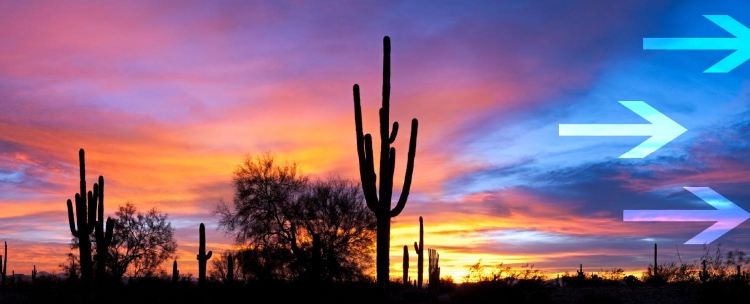 Orange blue sunset behind the black silhouettes of saguaro cactus  